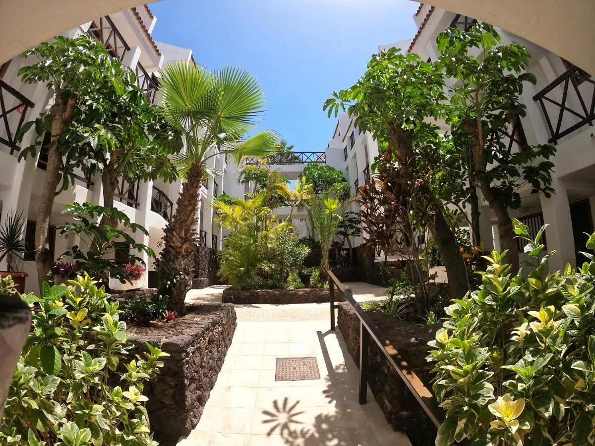 Parque Santiago I - Studio Apartment プラヤ・デ・ラス・アメリカス スペイン